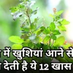 tulsi pooja benefits