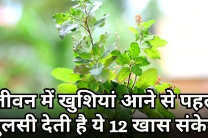 tulsi pooja benefits